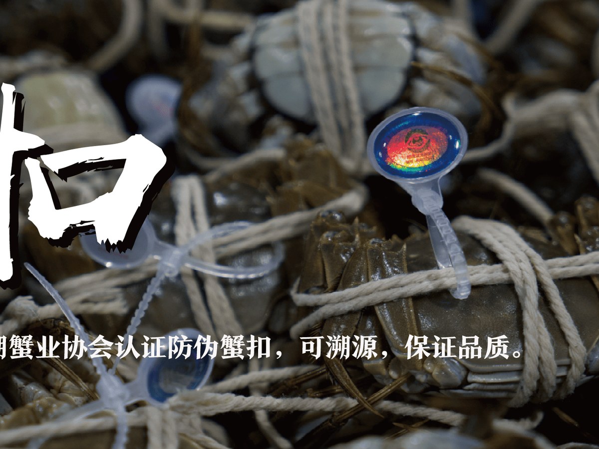 阳澄湖大闸蟹防伪蟹扣与溯源卡
