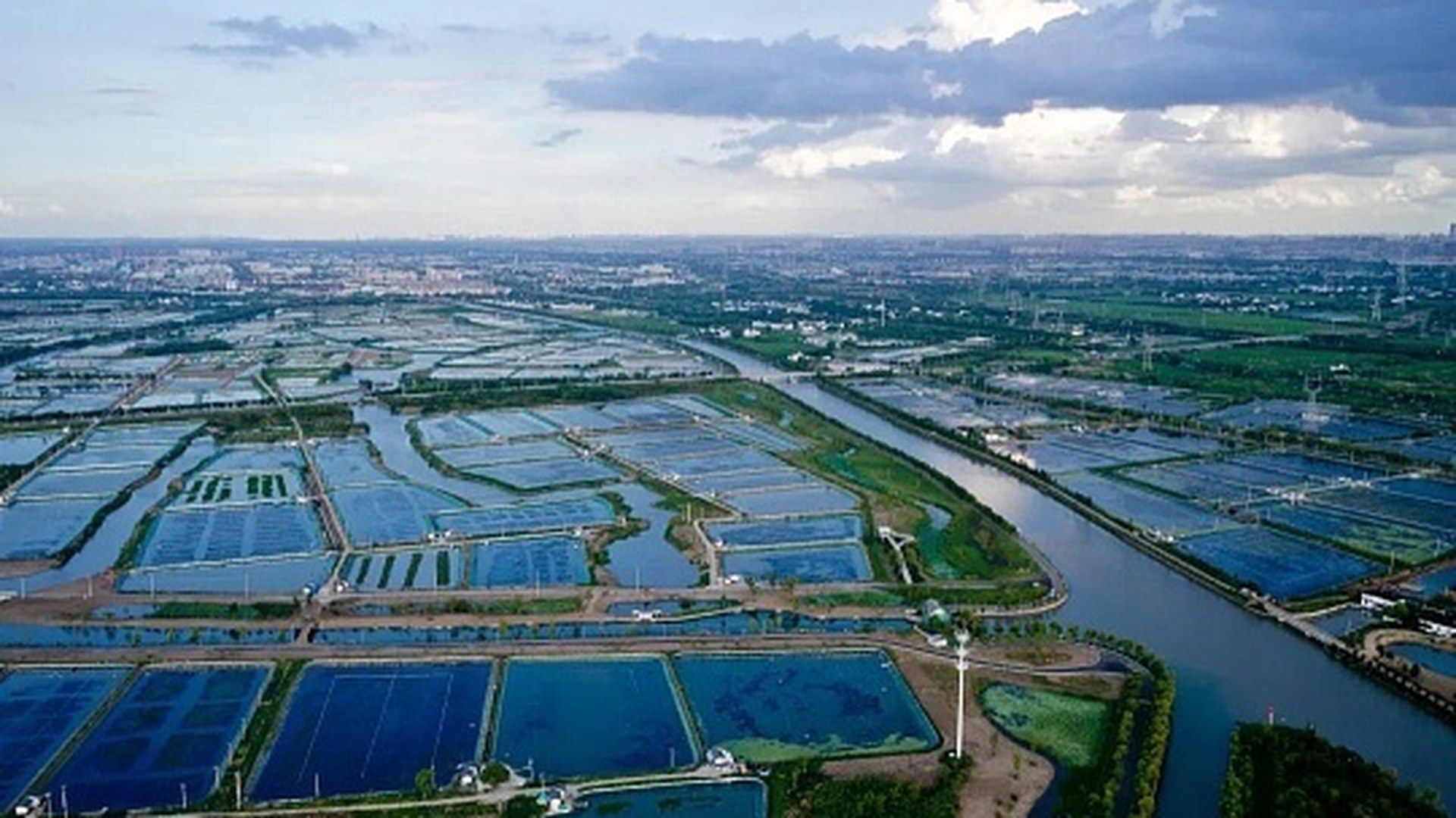 阳澄湖大闸蟹生态围网养殖基地航拍