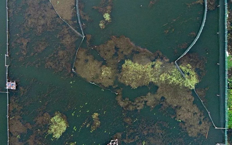 阳澄湖生态养殖基地科普